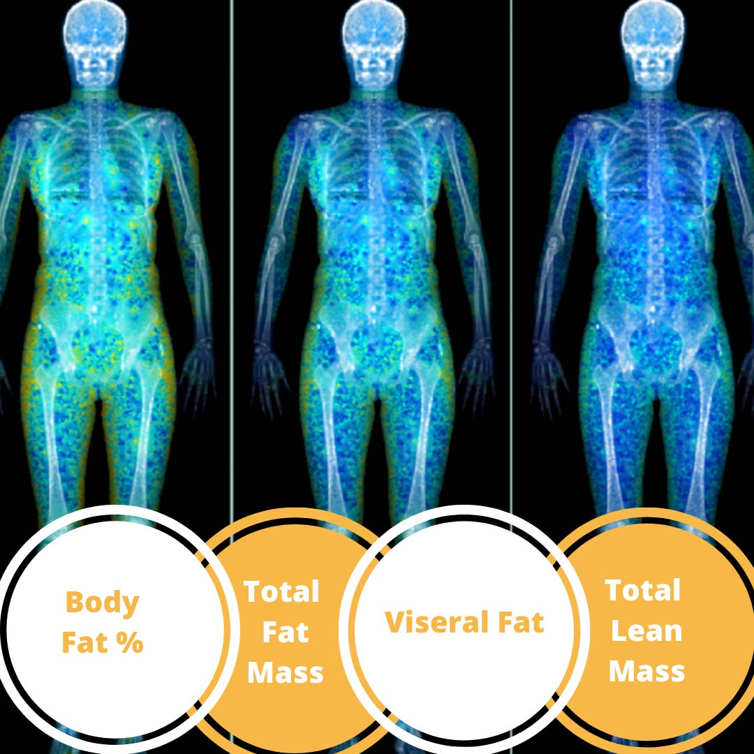 Body composition scanning